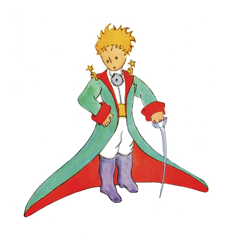 Tableau Sur Toile Antoine De Saint Exupery Le Petit Prince Ii